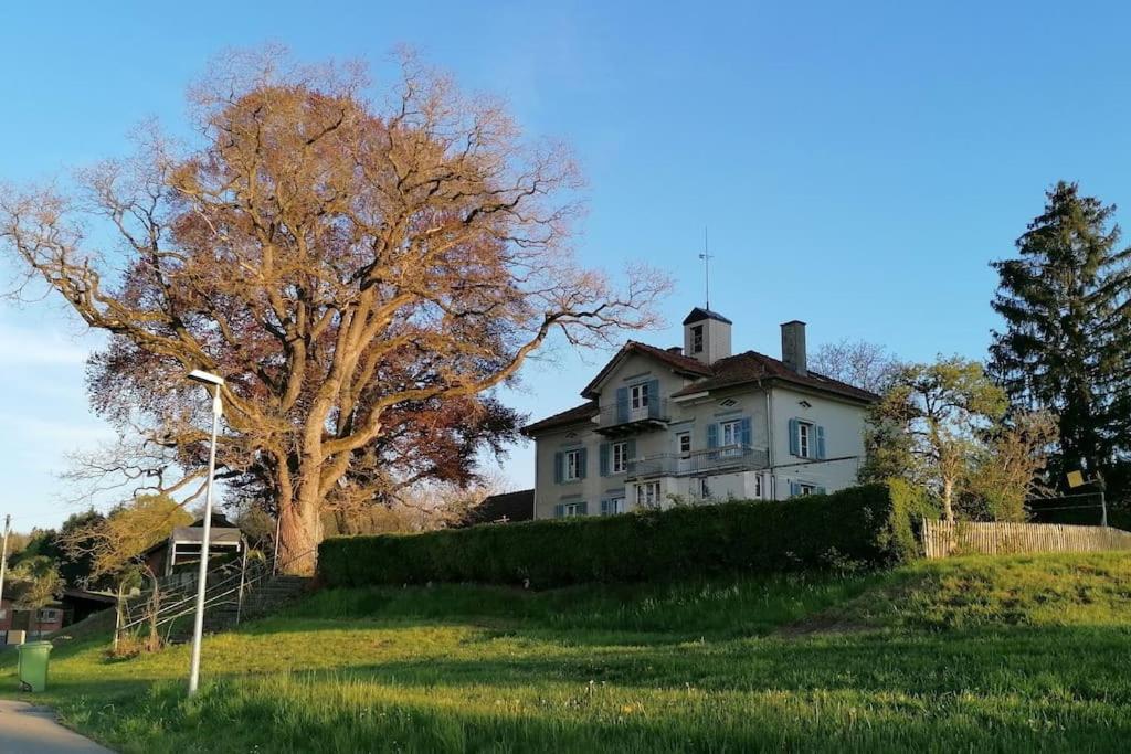 Bottighofen Seesicht Und Charmante Wohnung Bei Hanni Und Ueli מראה חיצוני תמונה